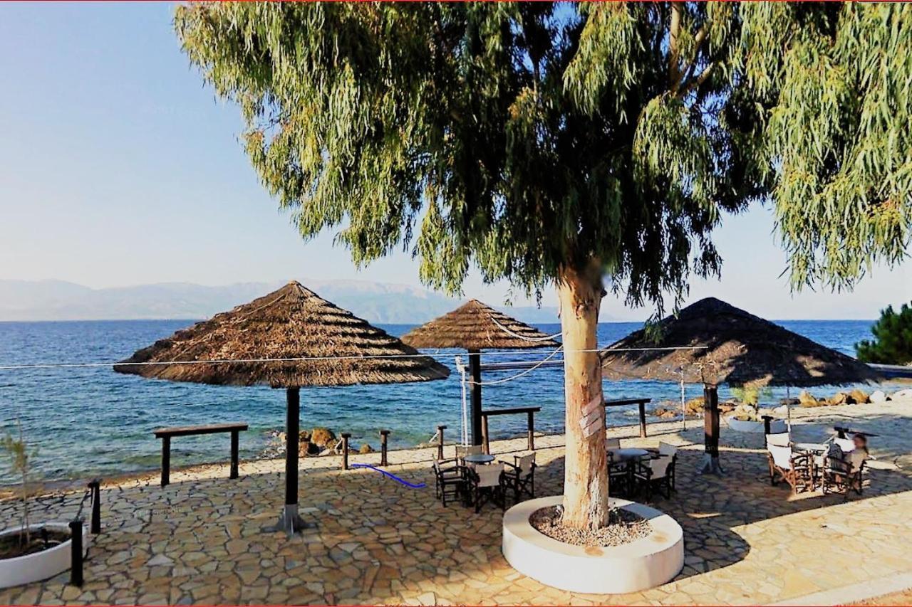 Steinturm Mit Dach-Terrasse Zwischen Fluss, Meer Und Gebirge- Spiti Pirgos Paralia Sergoulas Ngoại thất bức ảnh